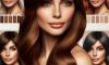 Brunette Hair: Discovering Its Stunning Beauty