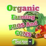 Organic Farming: Key Pros and Cons You Need to Know