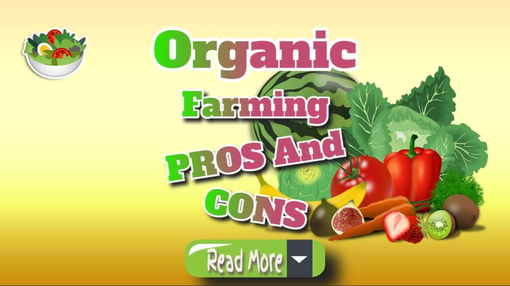 Organic Farming: Key Pros and Cons You Need to Know