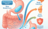Gel-Based Supplements: Discover Their Essential Advantages