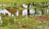 Stormwater Drain Solutions: Causes in Wollongong Explained