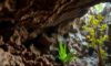 Belizean Caves: Discovering Archaeology, Climate, and Nature