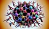 HMB and Nutrition: The Essential Combination Guide