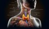 Thyroid Blood Test in Aylesbury: Fast and Reliable Results