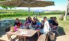 Yarrawood Estate: Discover Your Perfect Wine Journey