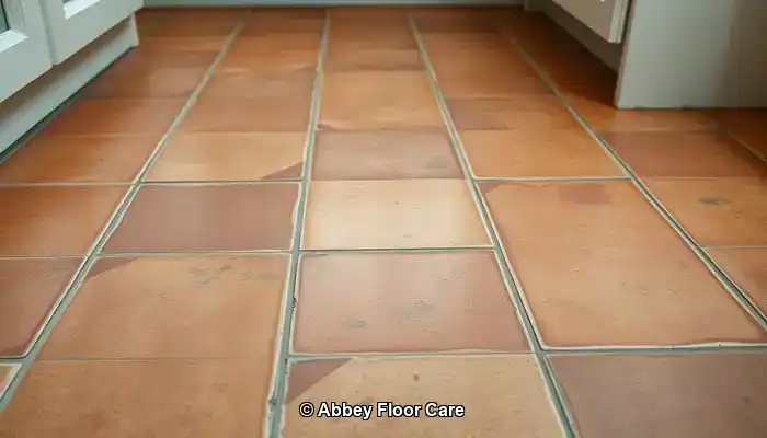 Understanding the Factors Behind Quick Dirt Buildup on Terracotta Floors