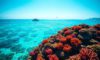 Belize Travel Guide: Essential Location Information Inside