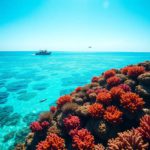 Belize Travel Guide: Essential Location Information Inside