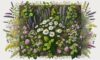 Herbal Remedies: The Essential Guide for UK Residents