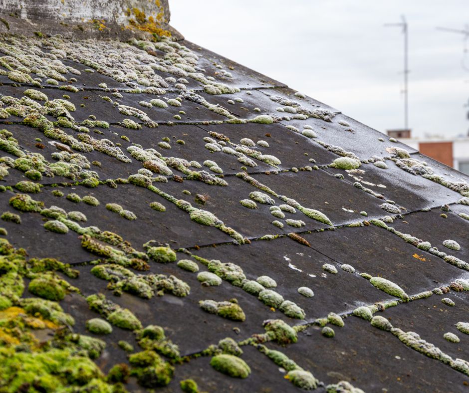 Slate Roof Cleaning Tips for Sydney Residents